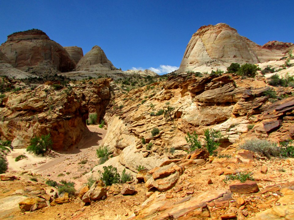 Capitol Reef NP in Utah