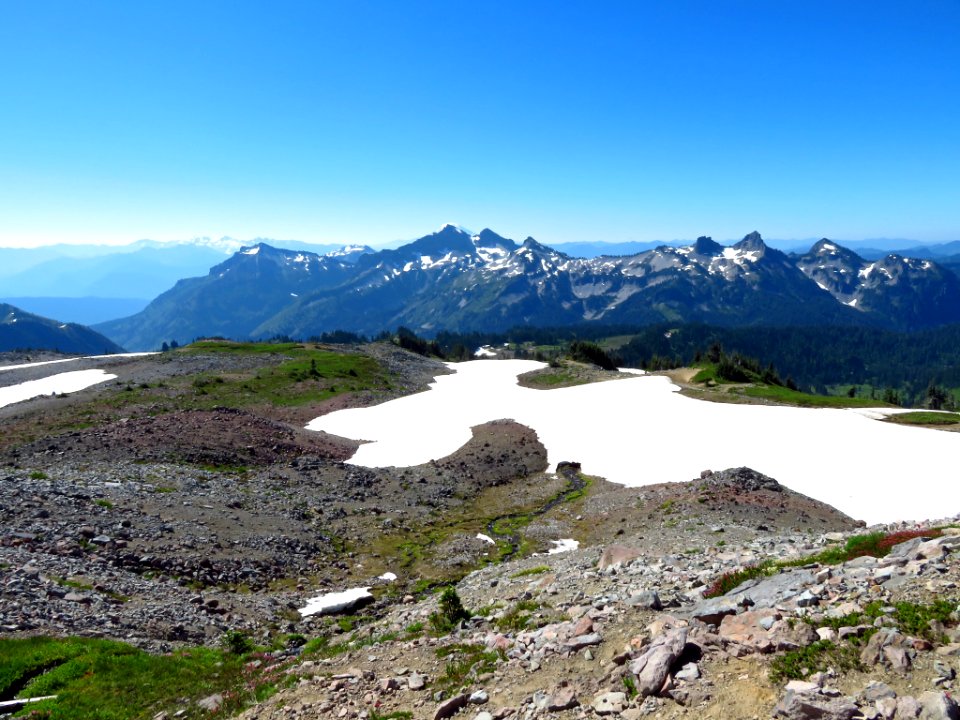 Skyline Trail at Mt. Rainier NP in WA