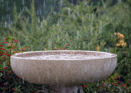 Splash weather birdbath photo