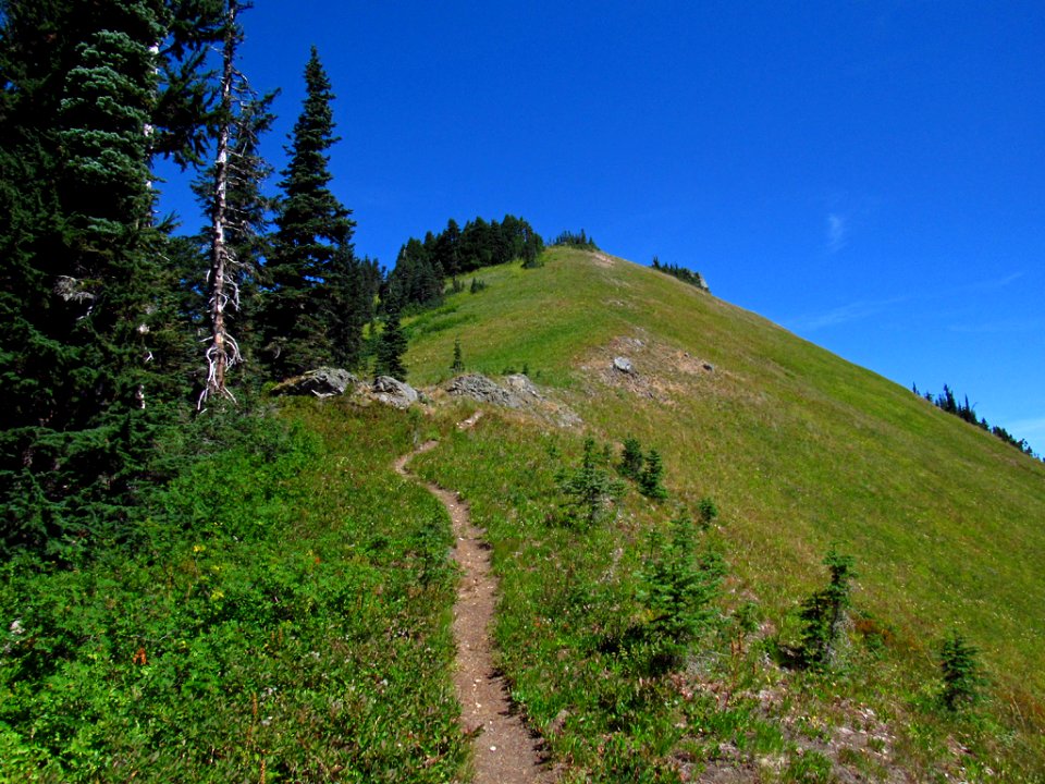 Tatoosh Wilderness in WA