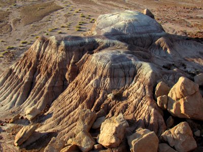 Jasper Forest at Petrified Forest NP in Arizona