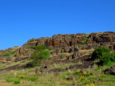 Crawford Oaks Trail at Columbia Hills SP in WA