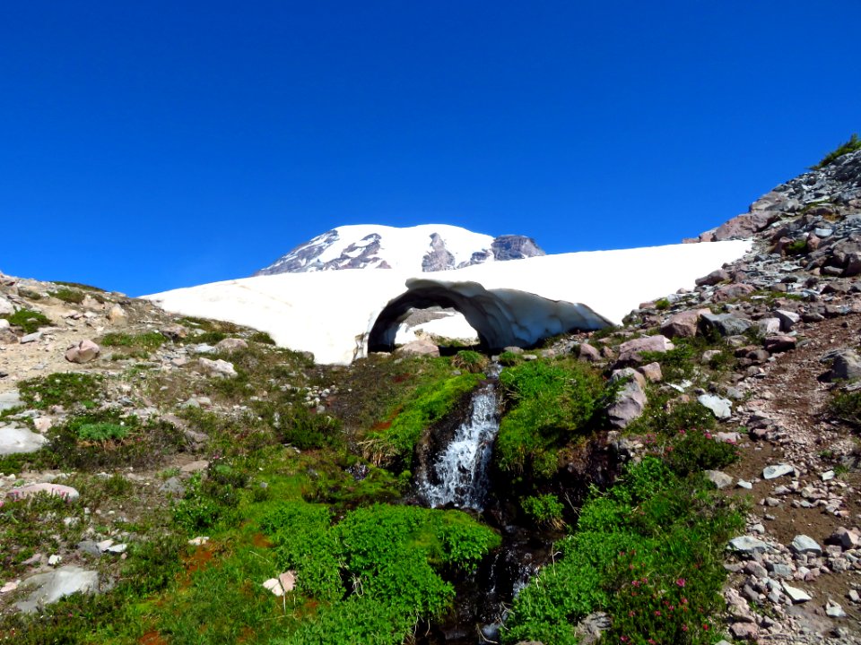 Skyline Trail at Mt. Rainier NP in WA