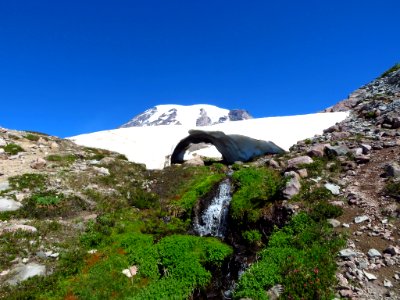 Skyline Trail at Mt. Rainier NP in WA