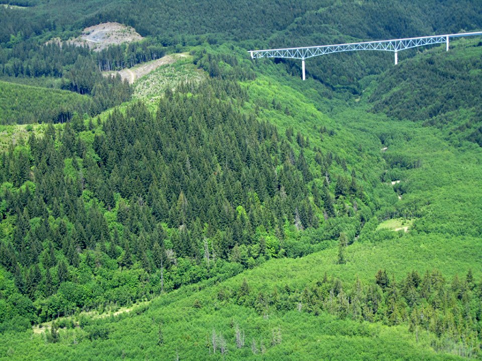 Hoffstadt Bridge at Mt. St. Helens NM in WA