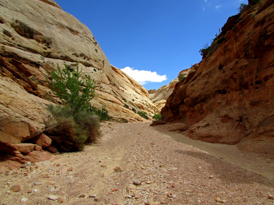 Capitol Reef NP in Utah