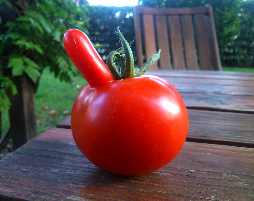Red vegetable fresh