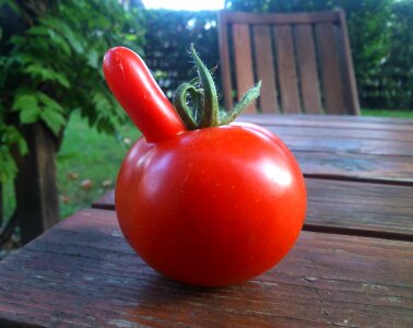 Red vegetable fresh