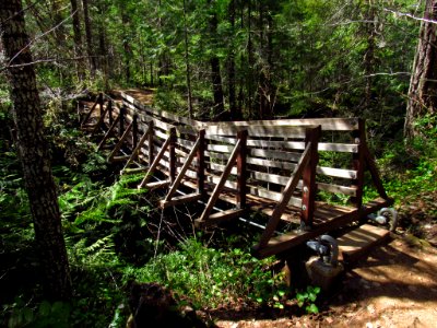 Suspension Bridge at Falls Creek Falls Trail in WA photo