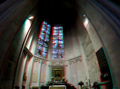 St-Romboutskathedraal Mechelen 3D GoPro photo