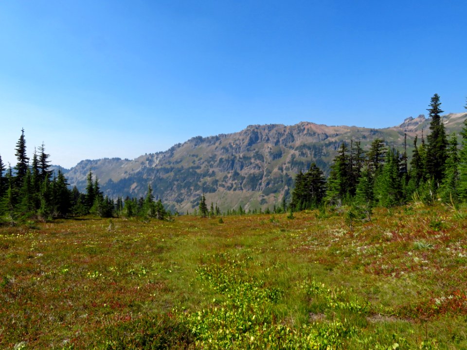 Goat Rocks Wilderness in WA