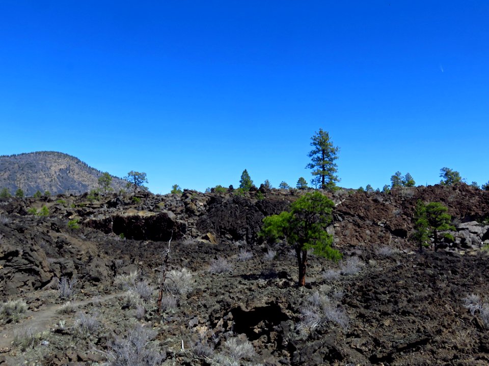 Sunset Crater Volcano NM in AZ