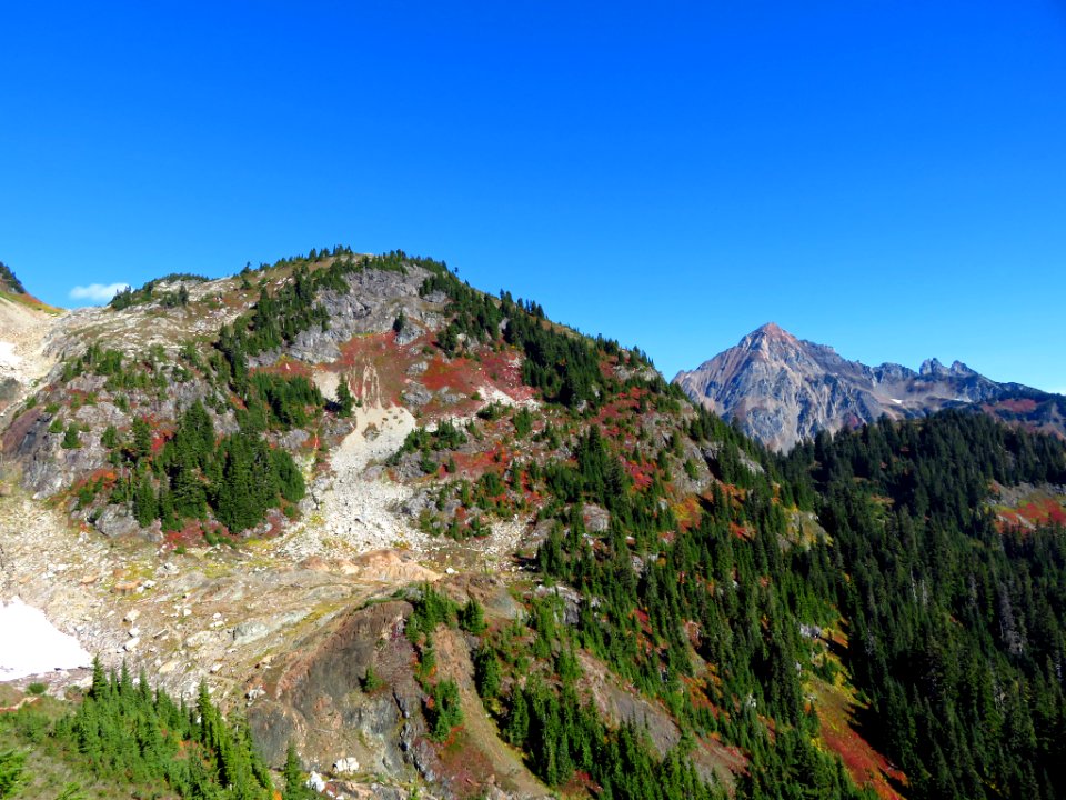 Autumn at Yellow Aster Butte in WA