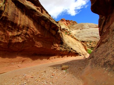 Capitol Reef NP in Utah photo