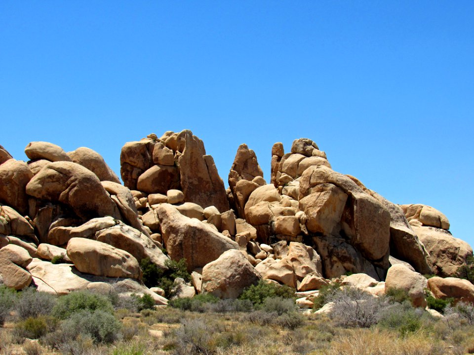 Joshua Tree NP in California