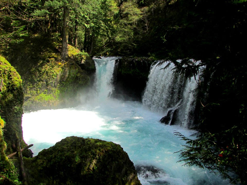 Spirit Falls Trail on Little White Salmon River in WA
