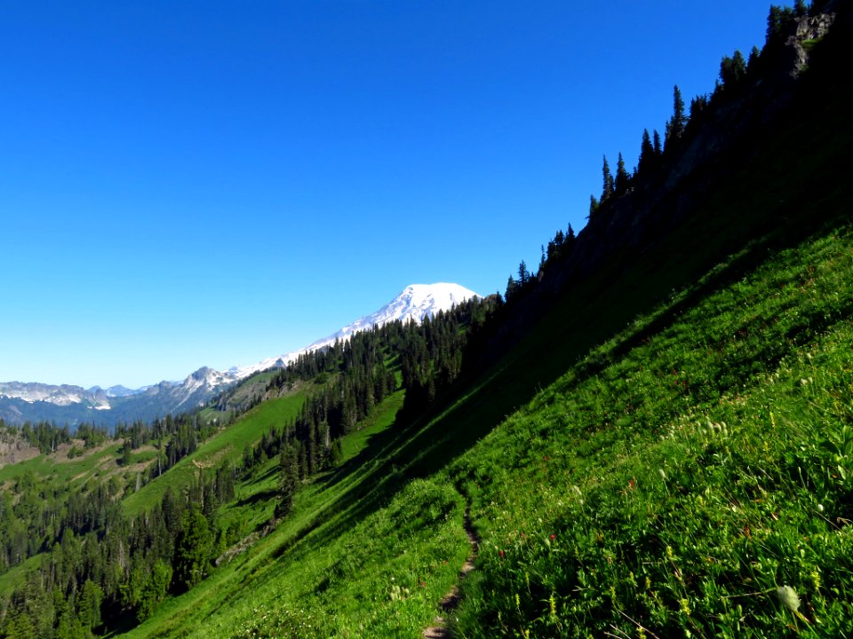 Mt. Rainier on Tatoosh Peak Trail in WA