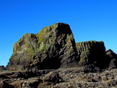 Low Tide at Pacific Coast in OR photo