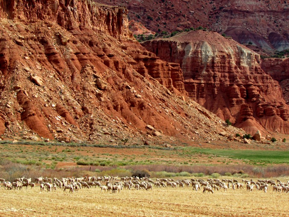 Capitol Reef NP in Utah