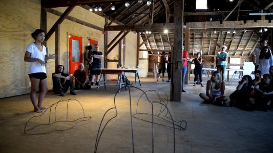 2015 Triangle Artists' Workshop (photo by Lior Tamim)