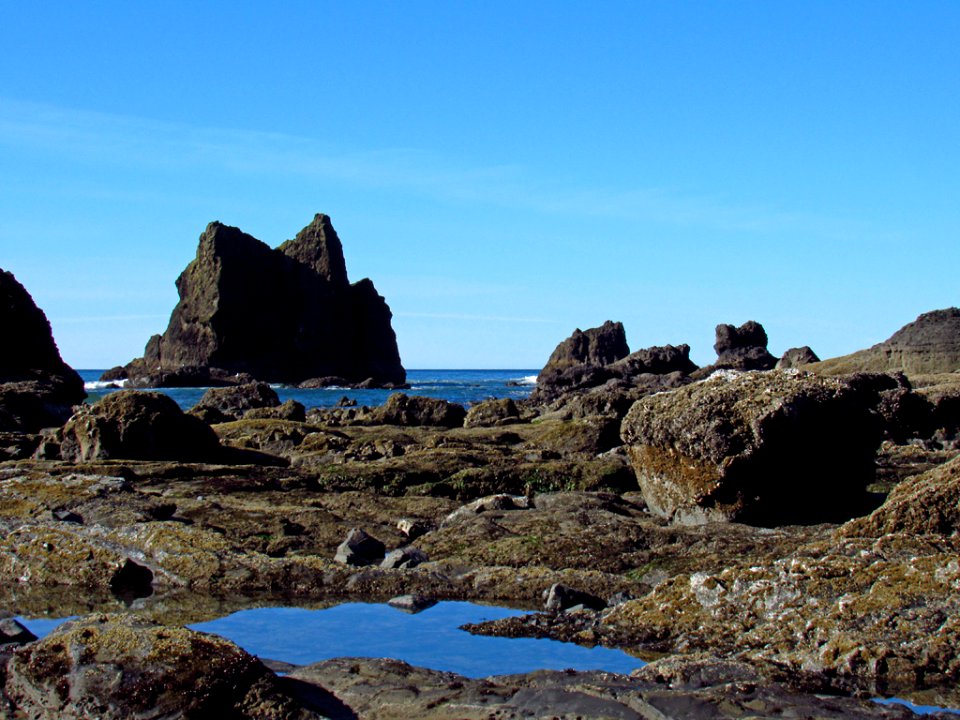 Low Tide at Pacific Coast in OR