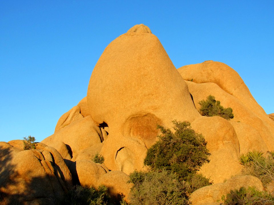 Skull Rock at Joshua Tree NP in California