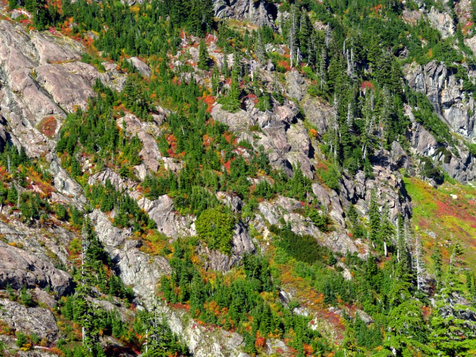 Autumn at Artist Point in WA