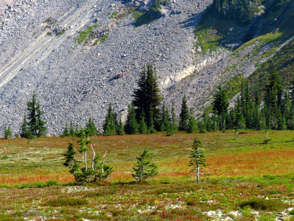 Goat Rocks Wilderness in WA