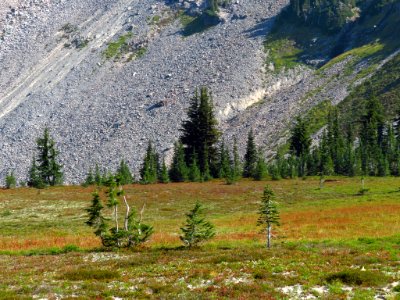 Goat Rocks Wilderness in WA