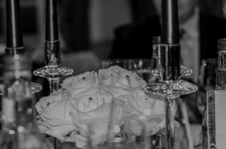 colin and hannah's wedding
