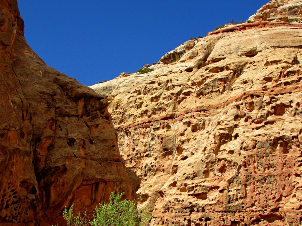Capitol Reef NP in Utah