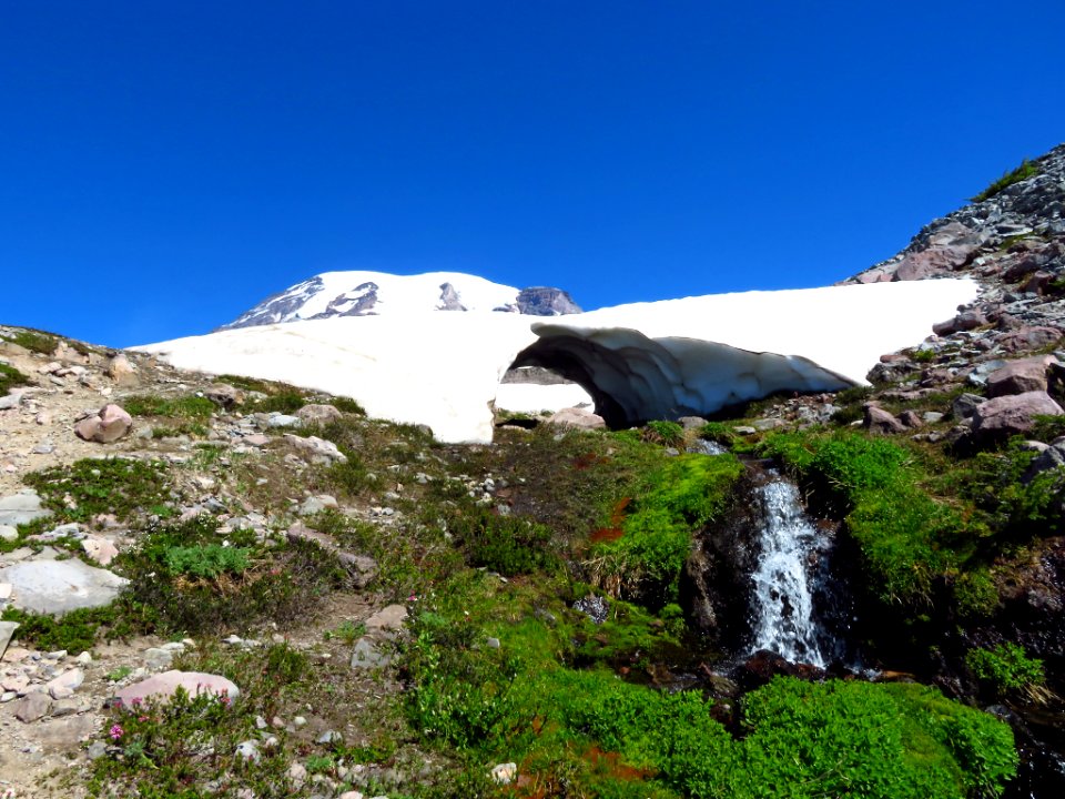 Skyline Trail at Mt. Rainier NP in WA