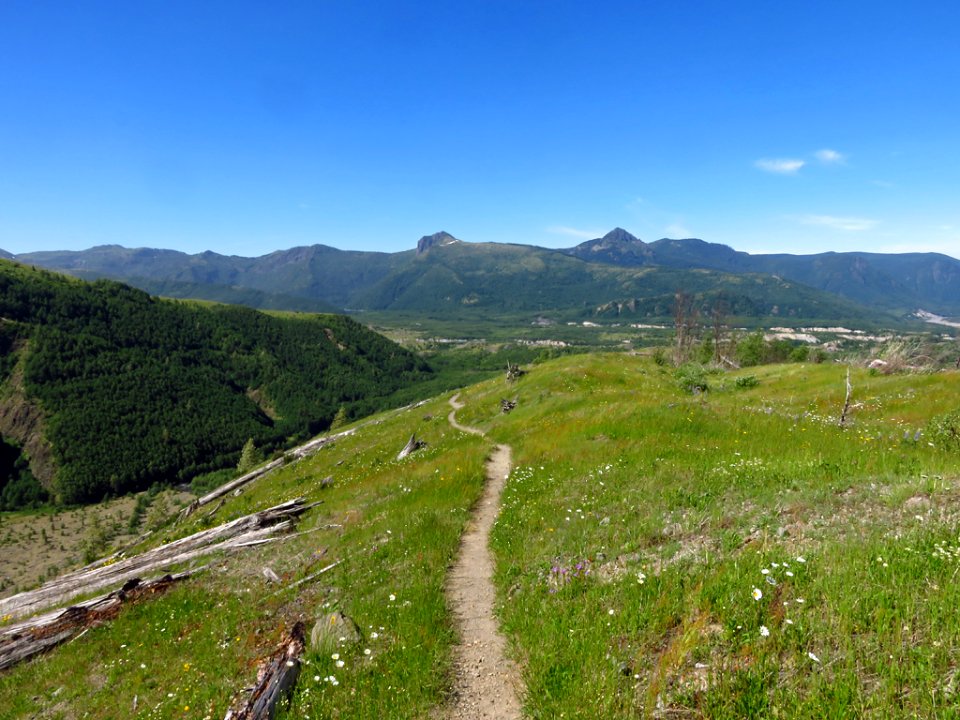 Coldwater Lake Trail at Mt. St. Helens NM in Washington