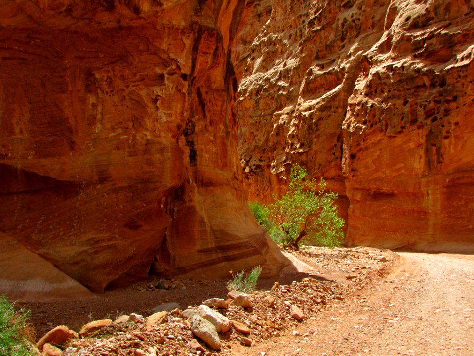 Capitol Reef NP in Utah
