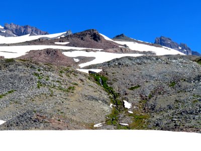 Skyline Trail at Mt. Rainier NP in WA photo