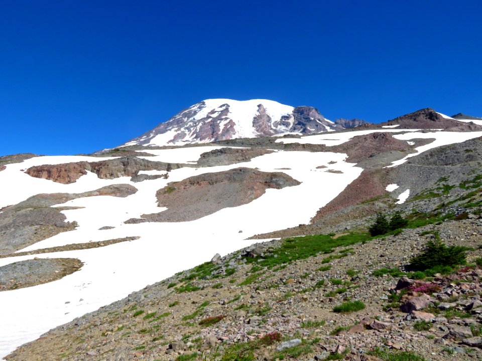 Skyline Trail at Mt. Rainier NP in WA