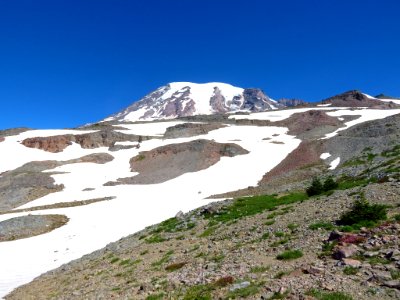 Skyline Trail at Mt. Rainier NP in WA photo