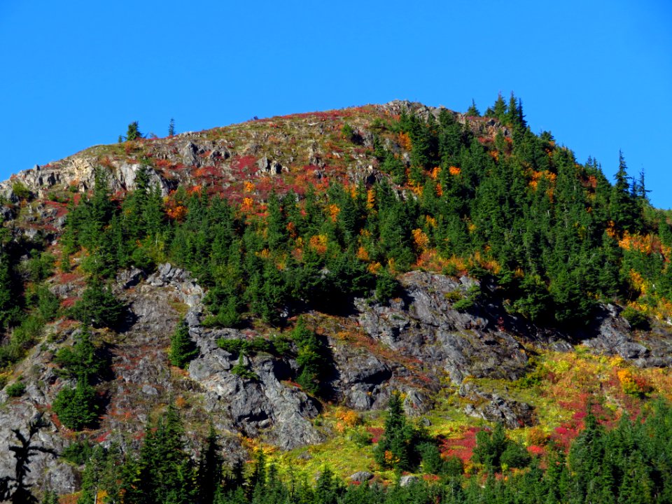 Autumn at Yellow Aster Butte in WA
