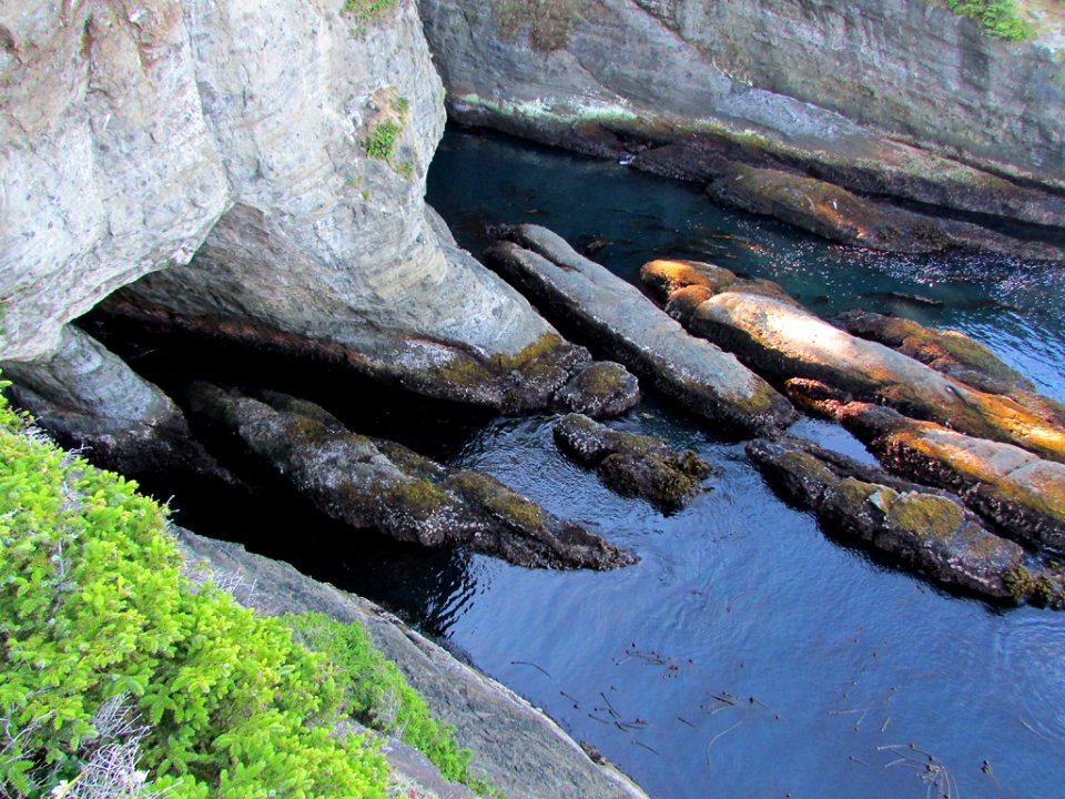 Cape Flattery at Neah Bay in WA