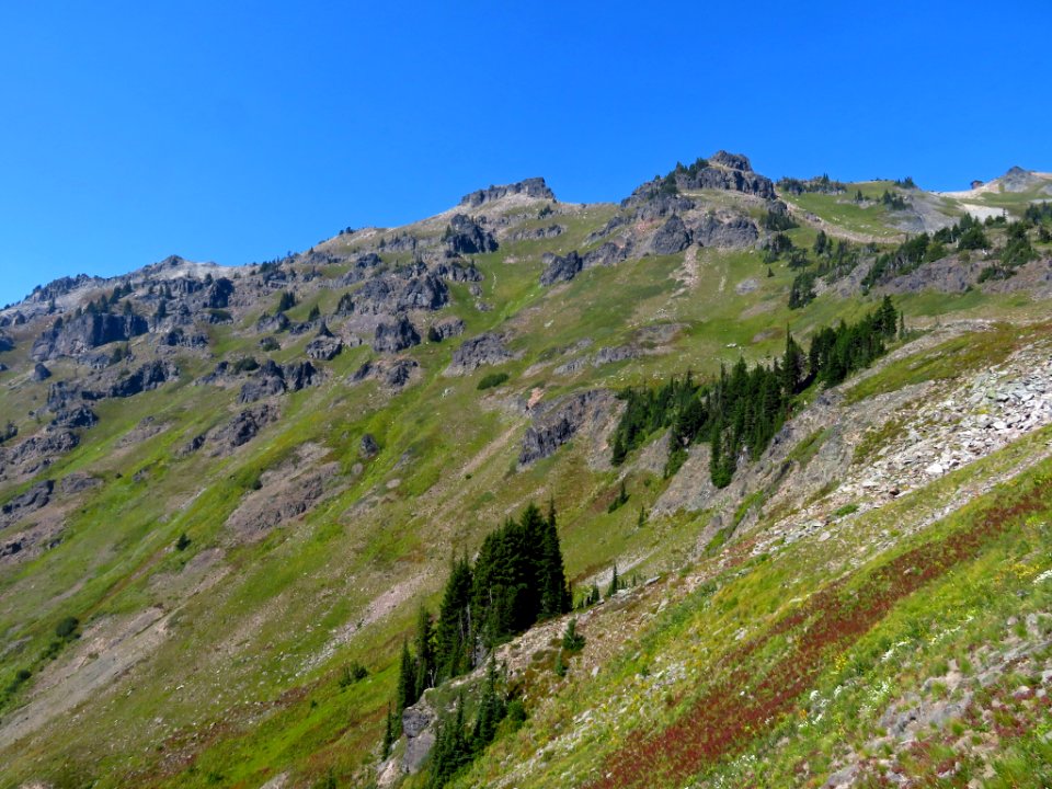 Goat Rocks Wilderness in WA