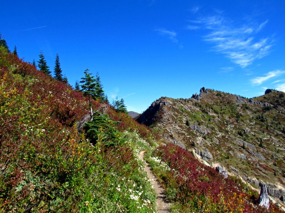 Mt. Margaret Backcountry in WA