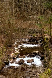 Porubská dolina photo