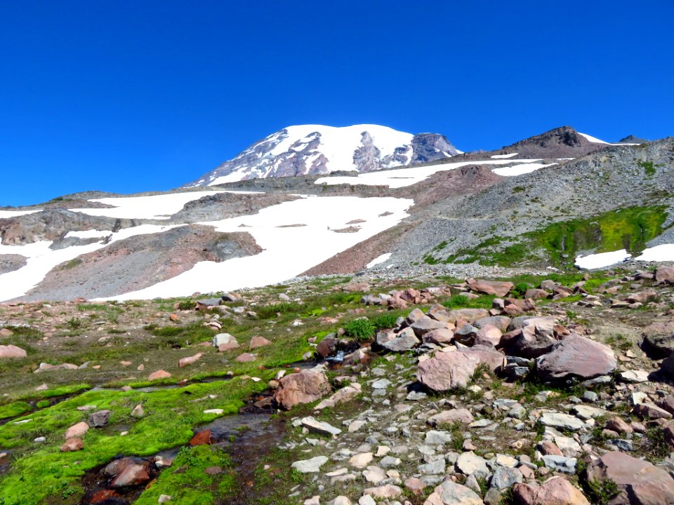 Skyline Trail at Mt. Rainier NP in WA