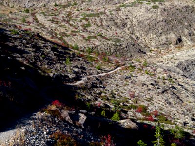 Plains of Abraham Trail in WA photo