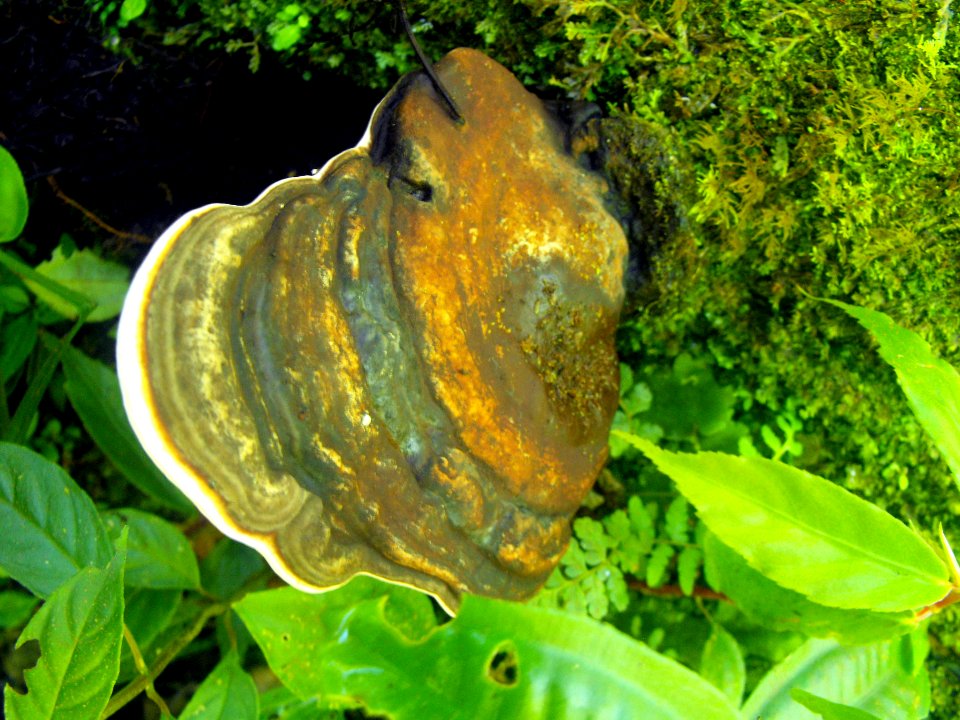 DSCF0177