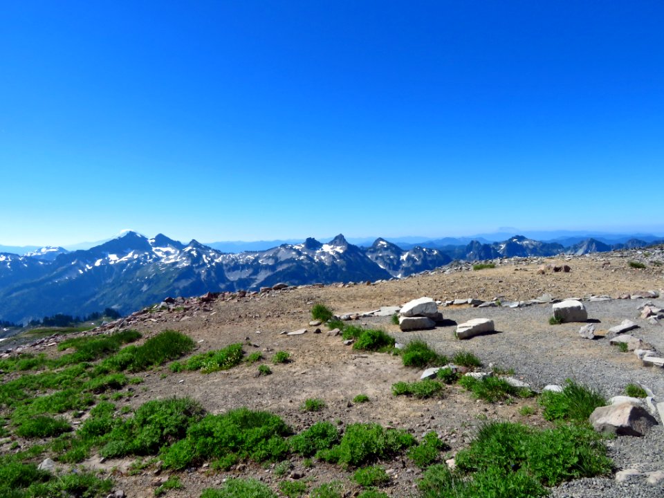 Skyline Trail at Mt. Rainier NP in WA