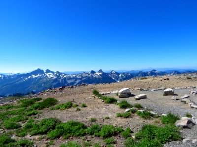 Skyline Trail at Mt. Rainier NP in WA