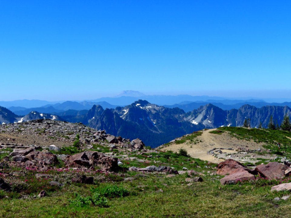 Skyline Trail at Mt. Rainier NP in WA