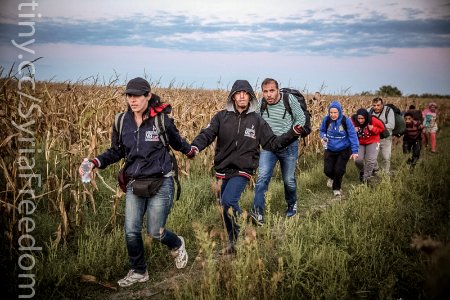Refugees are smuggled through a field in an attempt to evade the Hungarian police photo