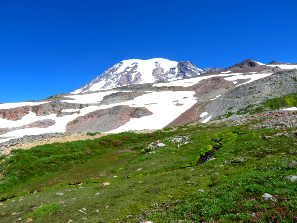 Skyline Trail at Mt. Rainier NP in WA